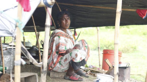 বেদে সরদার