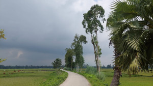 বিষণ্ণ বিকেল