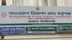 পিঠা-পুরি-পেঁয়াজুর দোকানেরও লাগবে লাইসেন্স, কার্যকর কবে থেকে?