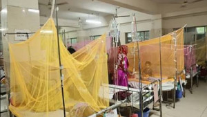 ডেঙ্গুতে একদিনে ৭ জনের মৃত্যু, হাসপাতালে ভর্তি ১,৮৭২ জন
