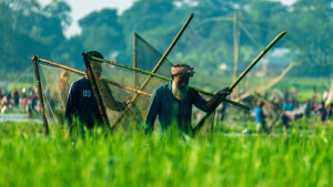 মাছ ধরা