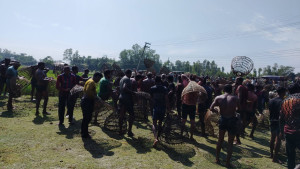 হলদিয়ার বিলে মাছ ধরার উৎসব