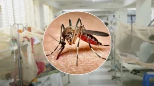 ২৪ ঘণ্টায় ডেঙ্গুতে ৫ জনের প্রাণহানি