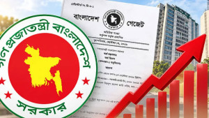 নতুন কাঠামোয় বেতন বাড়লেও কমতে পারে আয়