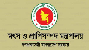 মা ইলিশ সংরক্ষণ অভিযান সফল করতে এমপিদের ডিও দিয়েছে  মৎস্য ও প্রাণিসম্পদ মন্ত্রণালয়