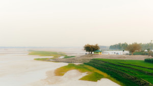 গ্রামীণ সকাল