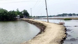 স্বাধীনতার ৫৫ বছরেও একটা ইটের সড়ক পাননি চাউলখোলাবাসী