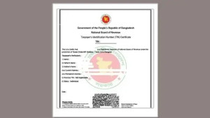 টিআইএন সার্টিফিকেট বাতিল করবেন যেভাবে