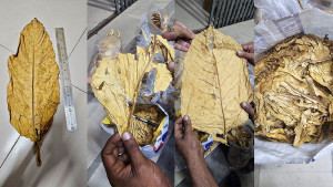 চট্টগ্রাম বন্দরে পাকিস্তান থেকে আসা তামাক জব্দ