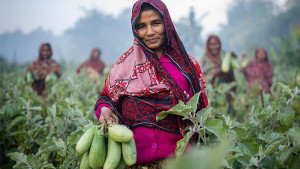সম-অধিকারের লড়াইয়ে গ্রামীণ নারী
