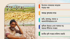ফসলের মাঠে সাফল্যের পরও কৃষকের ঘরে সংকট