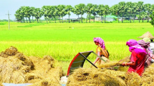 প্রকৃতিতে কে আনলো ডেকে হেমন্ত?