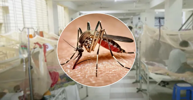 ২৪ ঘণ্টায় ডেঙ্গুতে ৫ জনের প্রাণহানি
