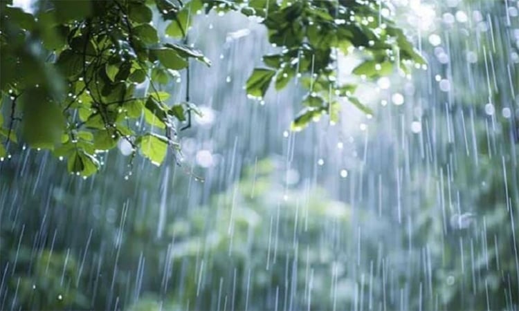 সারাদেশে বৃষ্টির সম্ভাবনা, কখন কোথায় হবে বৃষ্টি?