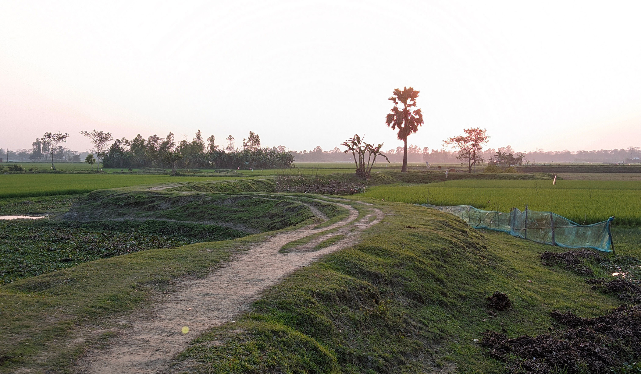 বাংলার মেঠো পথ