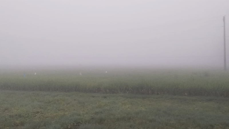 উত্তরাঞ্চলে শীতের আগমনী বার্তা
