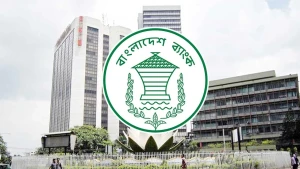 প্রাতিষ্ঠানিক শেয়ারহোল্ডারদের জন্য বড় দুঃসংবাদ
