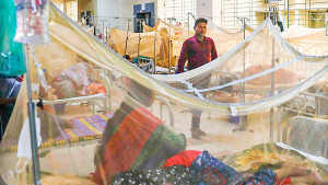 ডেঙ্গুতে একদিনে ৮ মৃত্যু, হাসপাতালে ভর্তি ১৮৬০