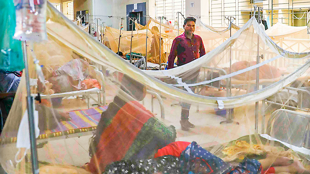 ডেঙ্গুতে একদিনে ৮ মৃত্যু, হাসপাতালে ভর্তি ১৮৬০